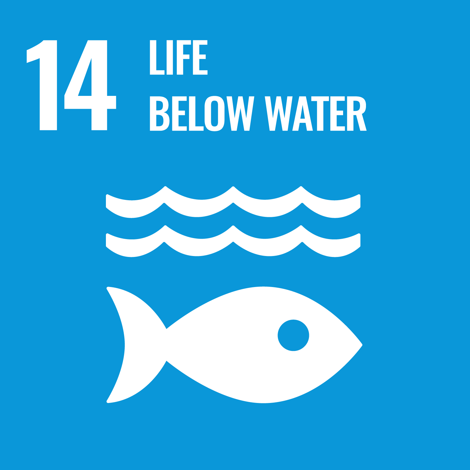 14 Life Below Water (UN Goal)