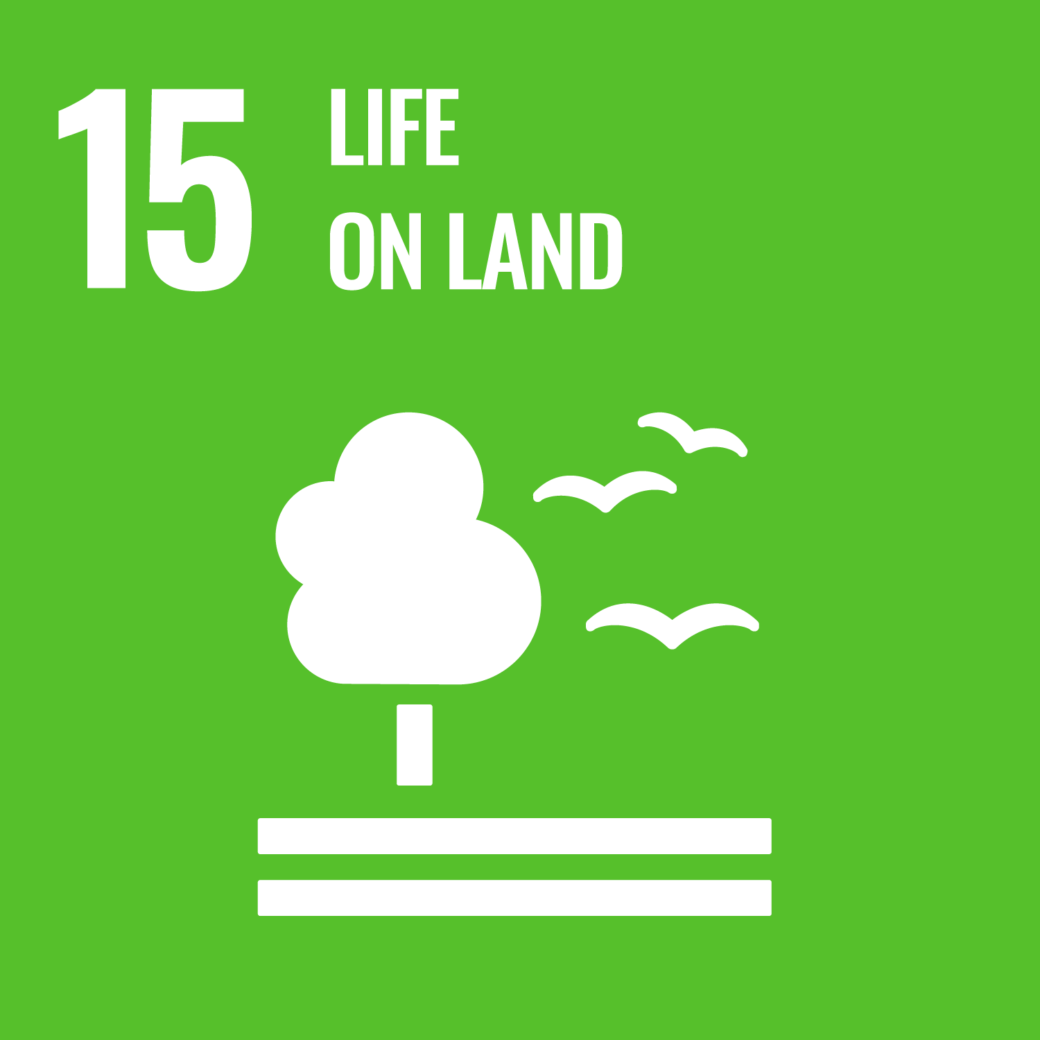 15 Life on Land (UN Goal)