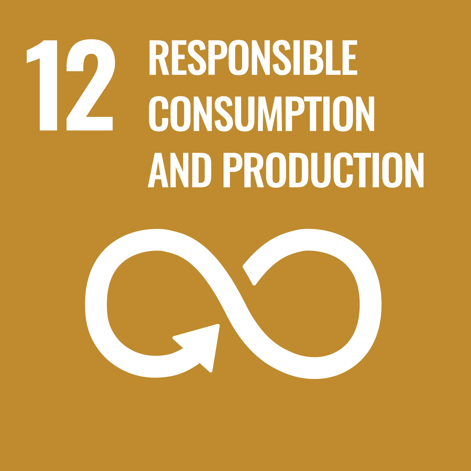 12 Responsible Consumption & Production (UN Goal)